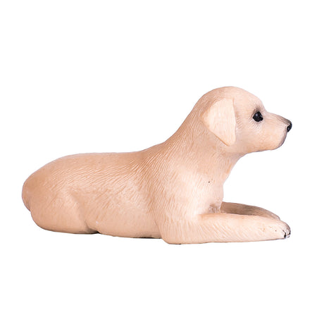 Szczeniak labradora rolniczego Mojo - 387272