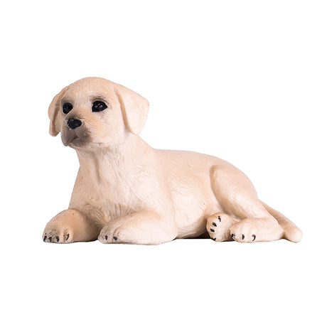 Szczeniak labradora rolniczego Mojo - 387272