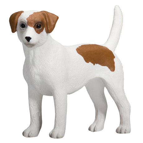 Jack Russell Terrier Mojo Farmland - 387286