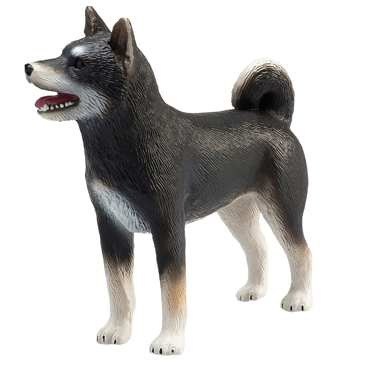 Mojo Farmland shiba inu czarny - 387363