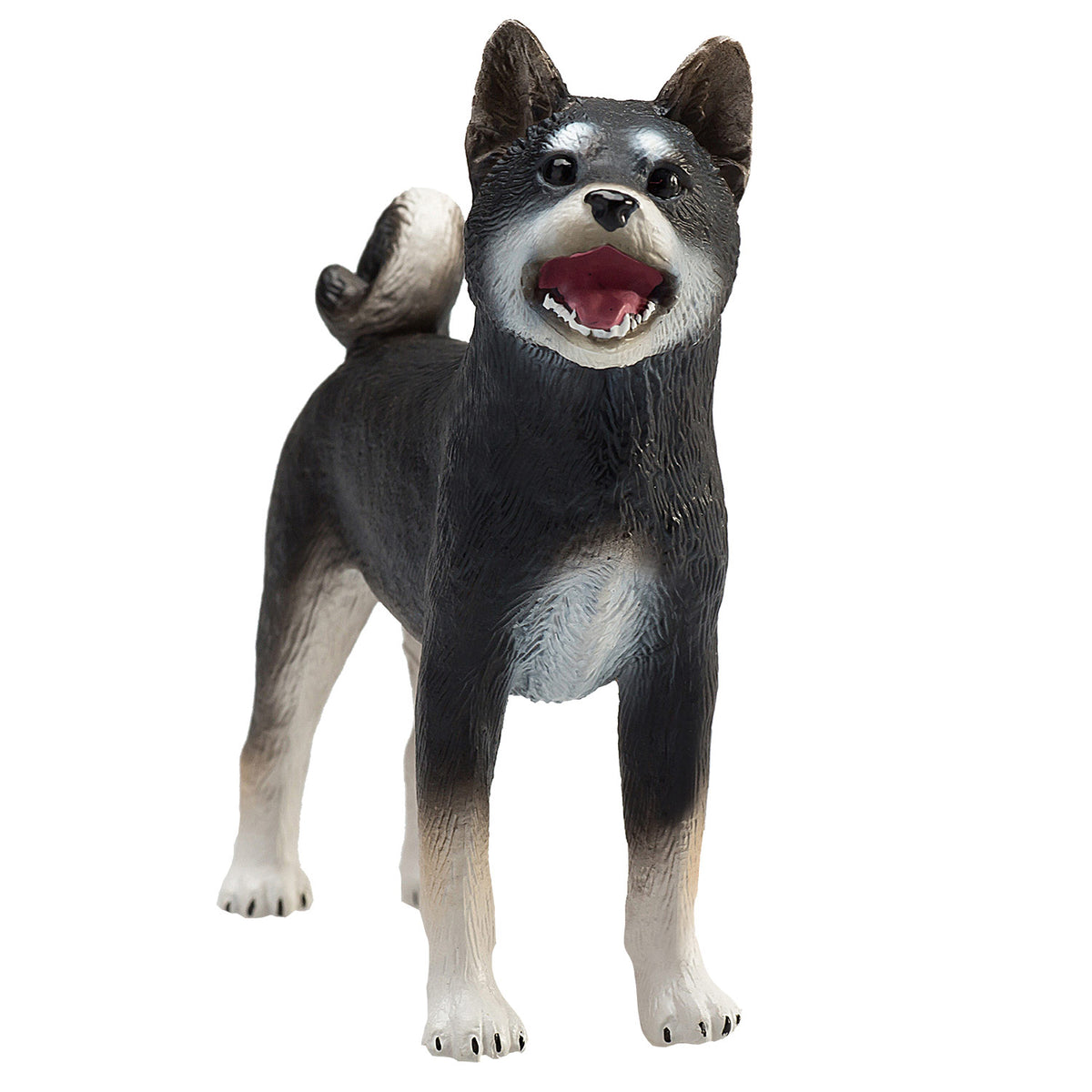 Mojo Farmland shiba inu czarny - 387363