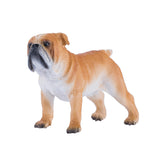 Mojo buldog angielski na farmie - 381053
