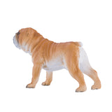 Mojo buldog angielski na farmie - 381053