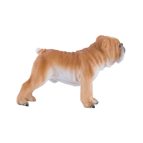 Mojo buldog angielski na farmie - 381053