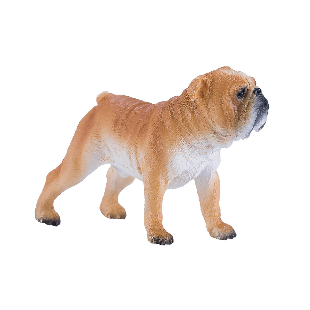 Mojo buldog angielski na farmie - 381053