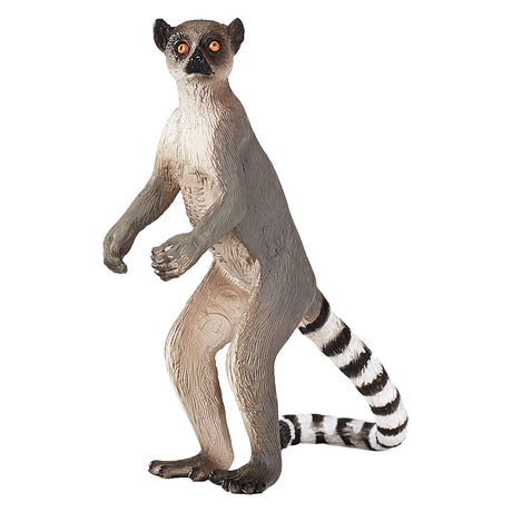 Dziki lemur katta Mojo - 1285431