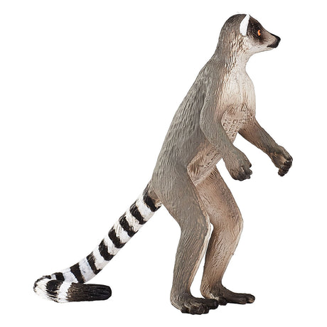 Dziki lemur katta Mojo - 1285431
