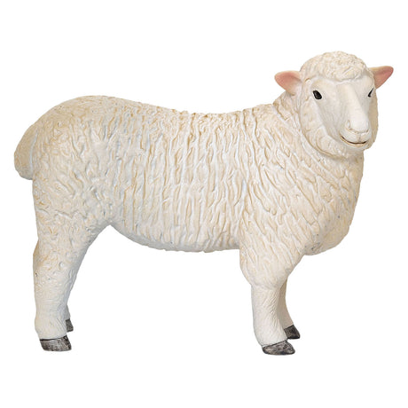 Owca owca romney Mojo - 381064