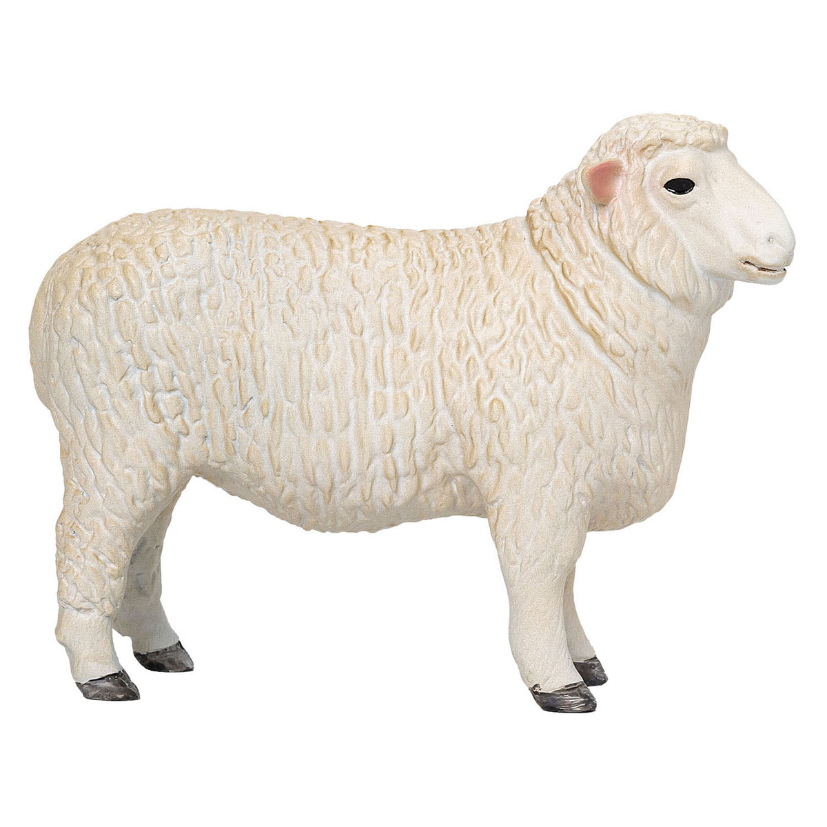 Mojo rolniczy baran owiec romney - 381063