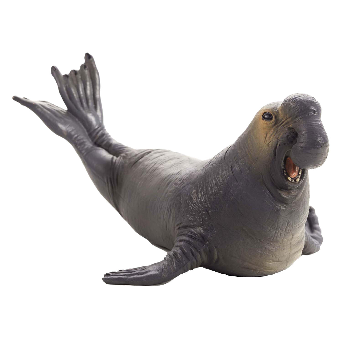 Mojo słoń morski Sealife - 387208