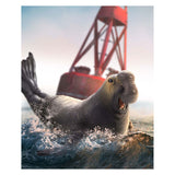 Mojo słoń morski Sealife - 387208