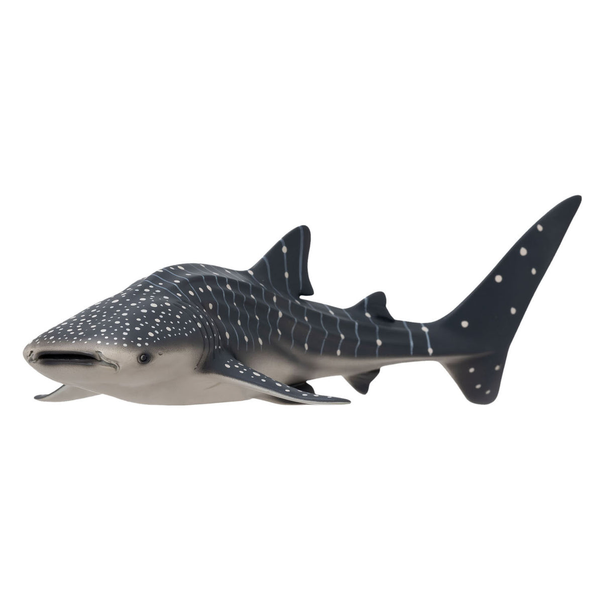 Rekin wielorybi Mojo Sealife - 381038