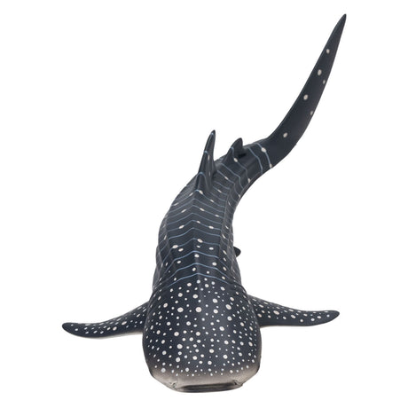 Rekin wielorybi Mojo Sealife - 381038