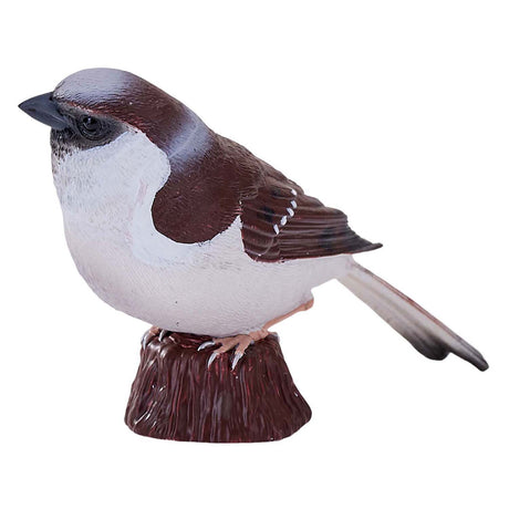 Wróbel domowy Mojo - 381114