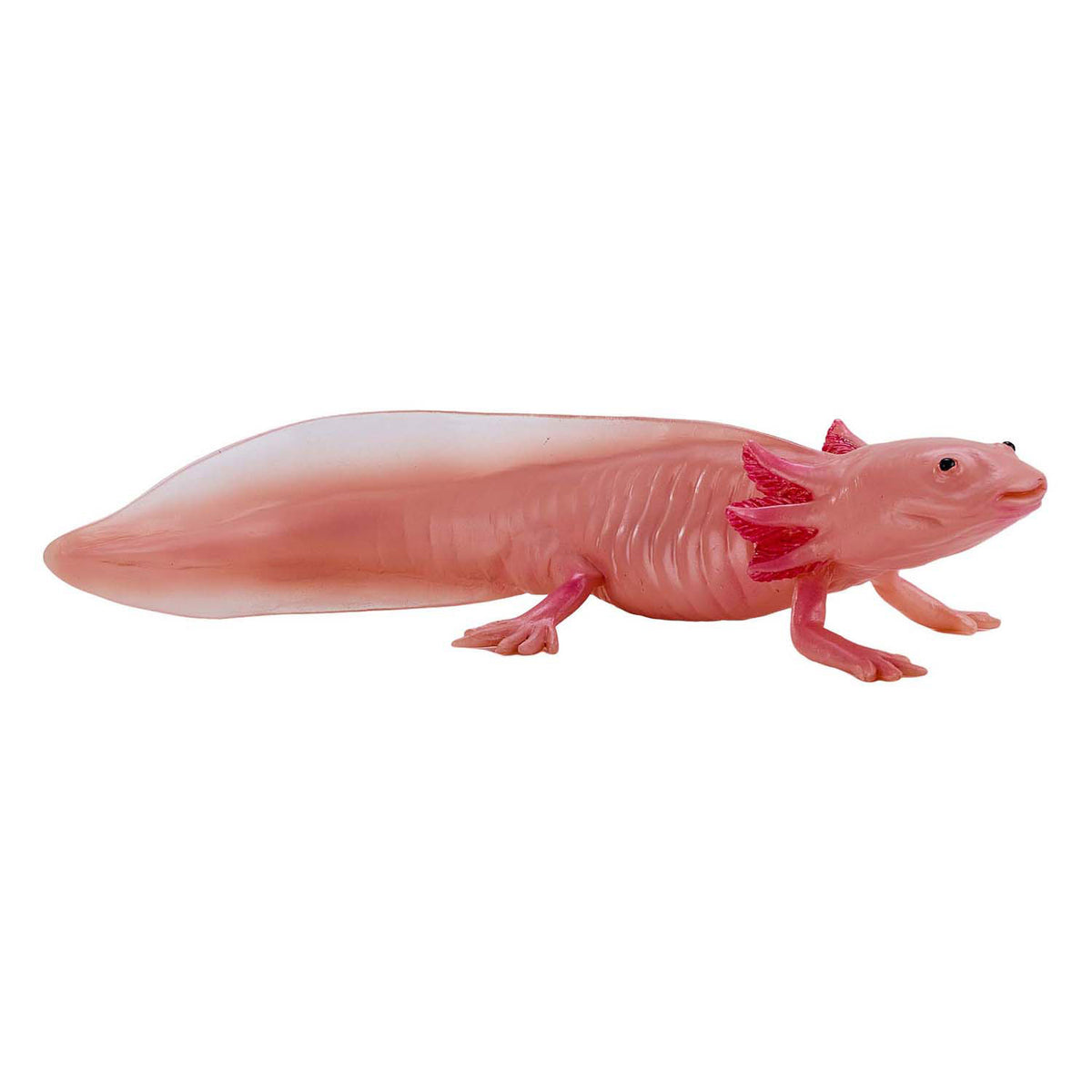 Mojo dziki aksolotl 381108