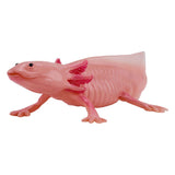 Mojo dziki aksolotl 381108