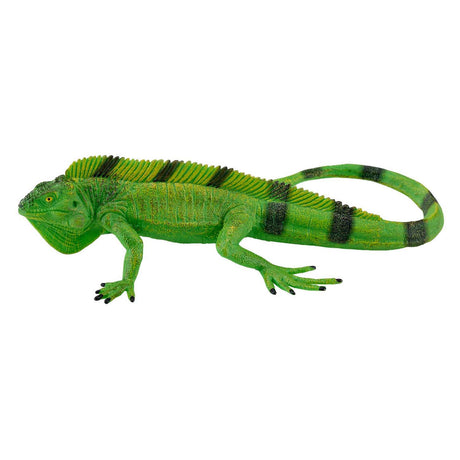Dzika iguana Mojo - 381095