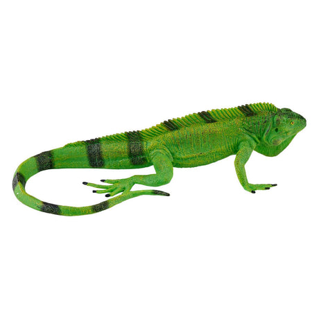 Dzika iguana Mojo - 381095