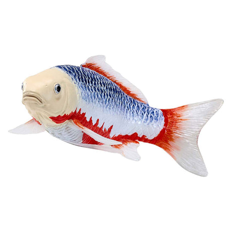 Karp koi Sealife Mojo - asagi koi - 381100
