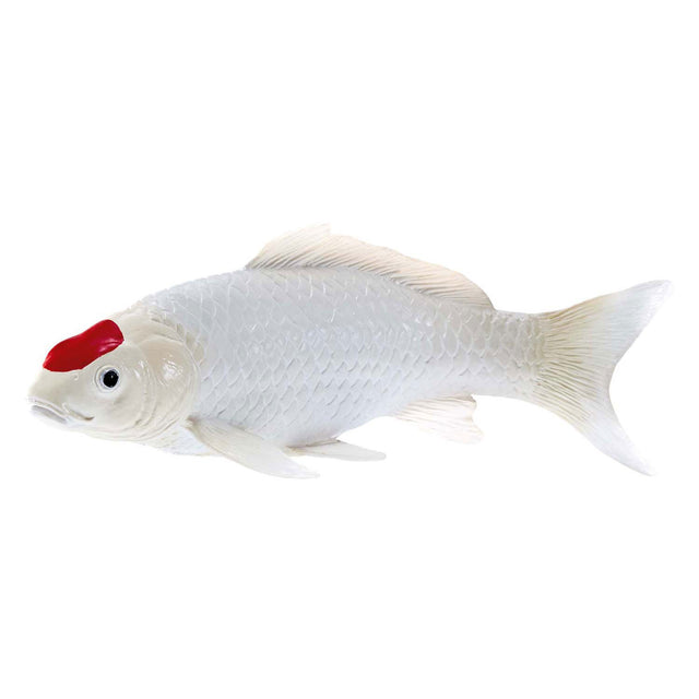 Karp koi Sealife Mojo - tancho koi - 381101