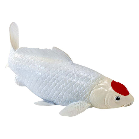 Karp koi Sealife Mojo - tancho koi - 381101