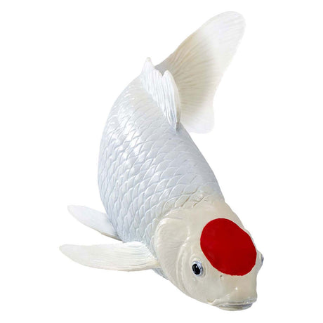 Karp koi Sealife Mojo - tancho koi - 381101