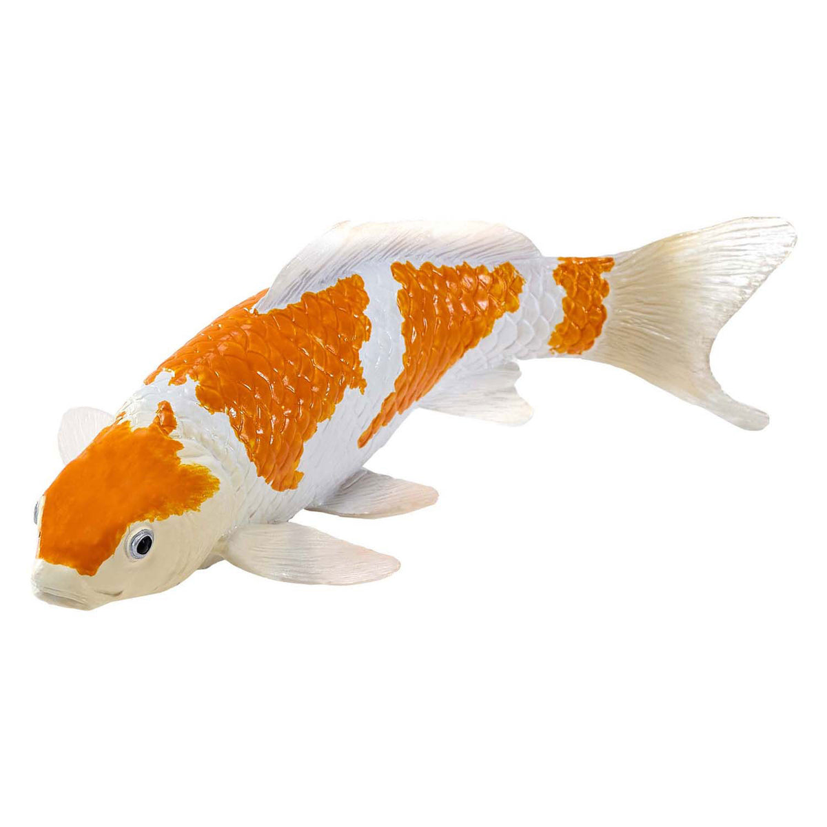 Karp koi Sealife Mojo - ochiba shigure koi - 381104