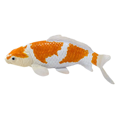 Karp koi Sealife Mojo - ochiba shigure koi - 381104