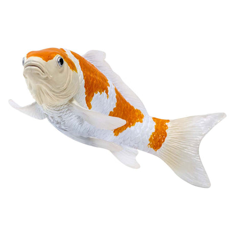 Karp koi Sealife Mojo - ochiba shigure koi - 381104