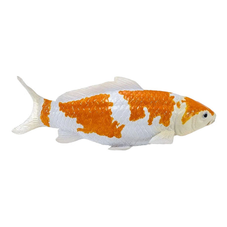 Kolekcja Mojo Koi - ochiba shigure koi złoto-biała 381122