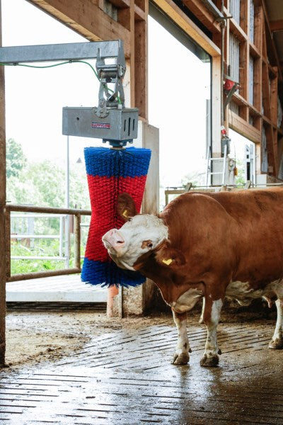 Produkty Happycow szczotka do krów maxiswing