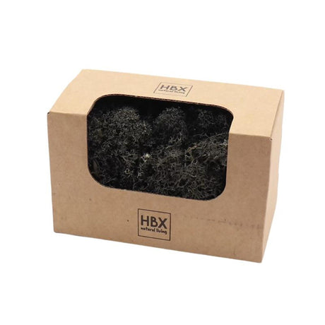 HBx Natural Living Podstawowy mech reniferowy 50gr czarny