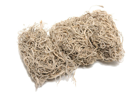 HBx naturalny mech żywy Tillandsia 80gr naturalny