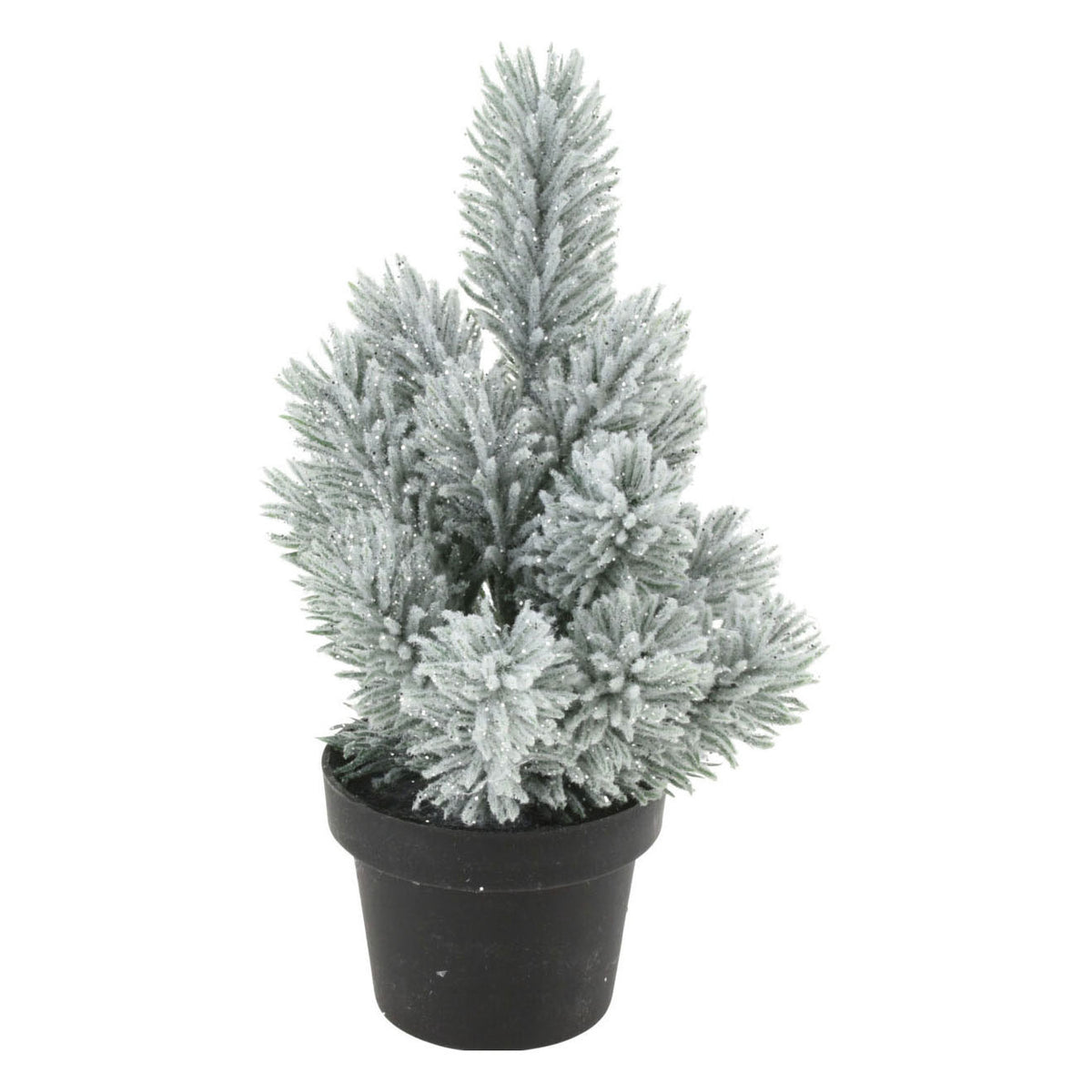 Denneboom w garnku, 33 cm