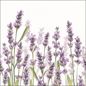 Serwetki Ambiente w odcieniach lawendy 33cm