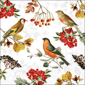 Ambiente servetten 33cm autumn birds fsc mix