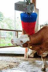 Produkty Happycow szczotka do krów maxiswing