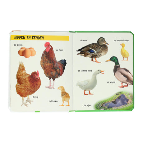 Zwycięstwa Holandii, spójrz, co tam widzisz? farma