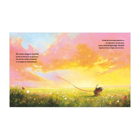 Rebo publishers prentenboek: de reis. 4+