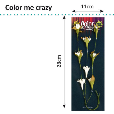 Petaloo • Color Me Crazy Spray do kwitnącej winorośli