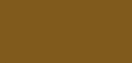 Ranger Ink Ranger • Tusz alkoholowy Tim Holtz espresso 14ml