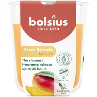Bolsius | 3 sztuki