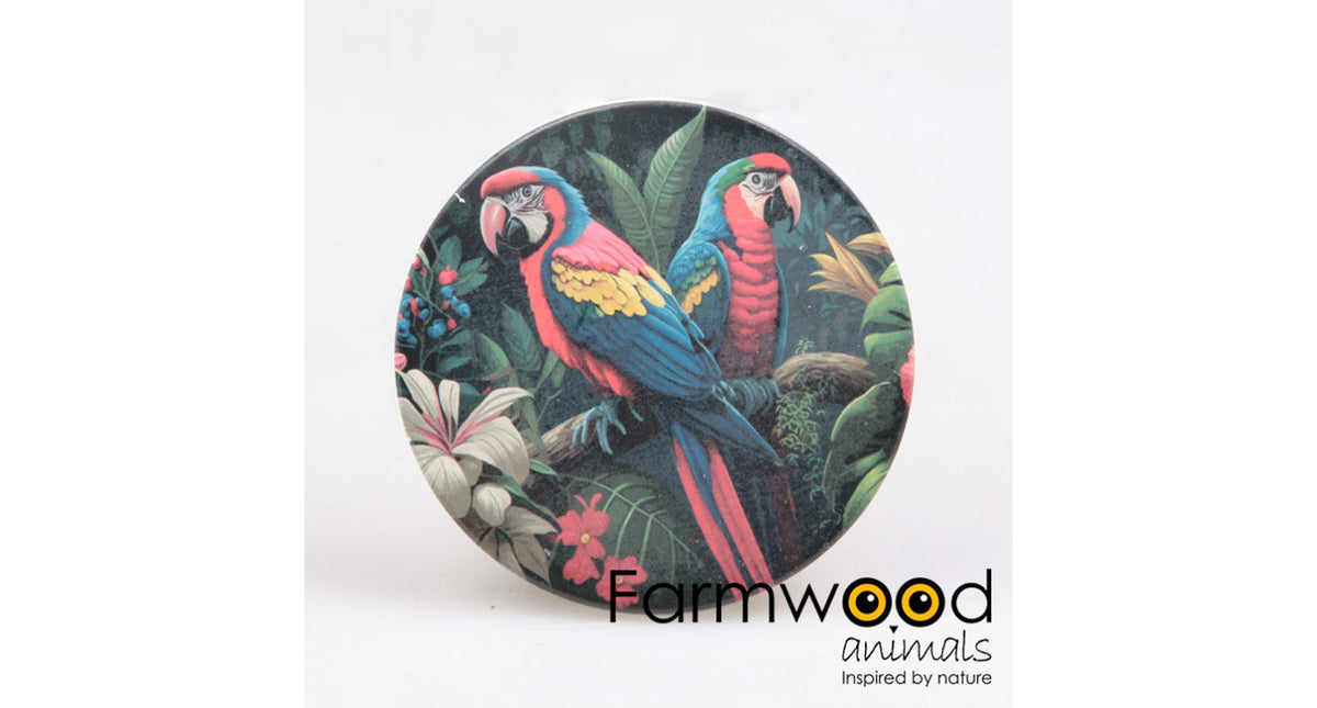 Set 4 onderzetter rond papegaaien 10x10x0.7 cm