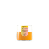 Spaas purelight geurkaars - citronella vivid yellow | 6 stuks