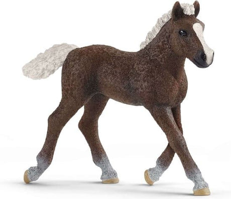 Schleich Farm World Źrebię Schwarzäldera
