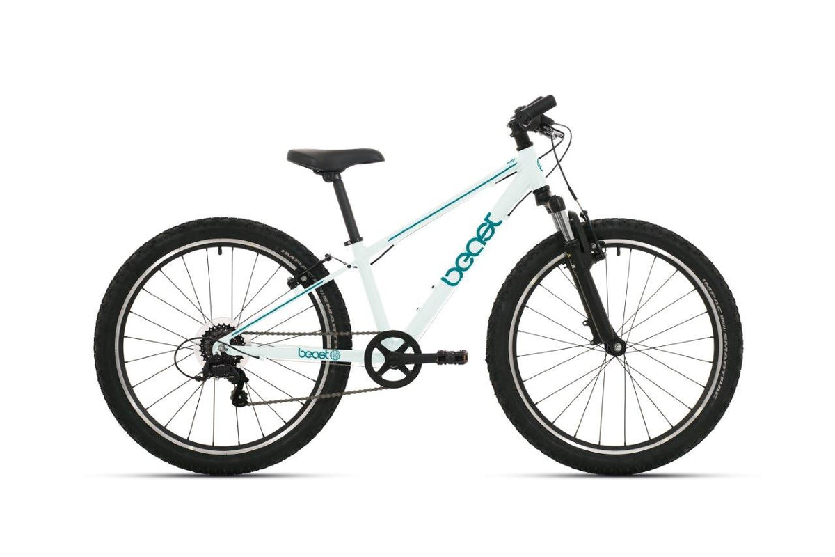 Rower Bikefun 24 bestia 6v