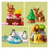 Lego Duplo Lego Deplo 10975 będzie nurków świata