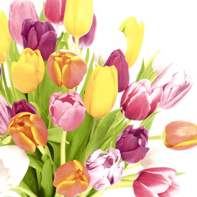 Serwetki Duni piękne tulipany 33x33cm
