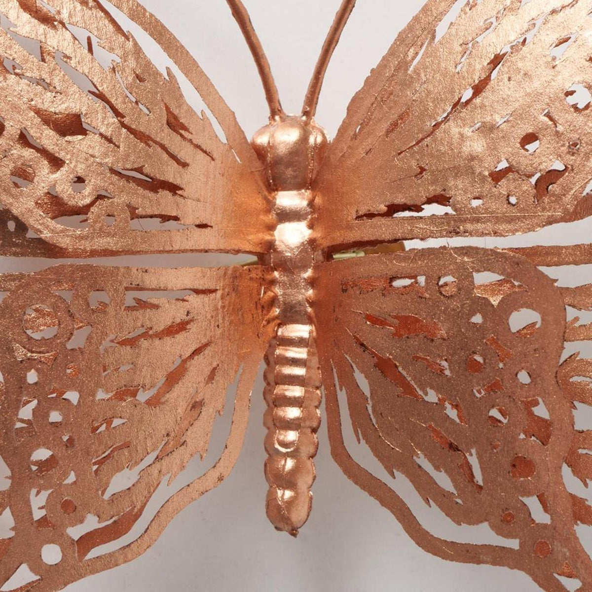Boltze home motyl na klipsie 4x15cm plastikowa szampańsko-miedziana perła