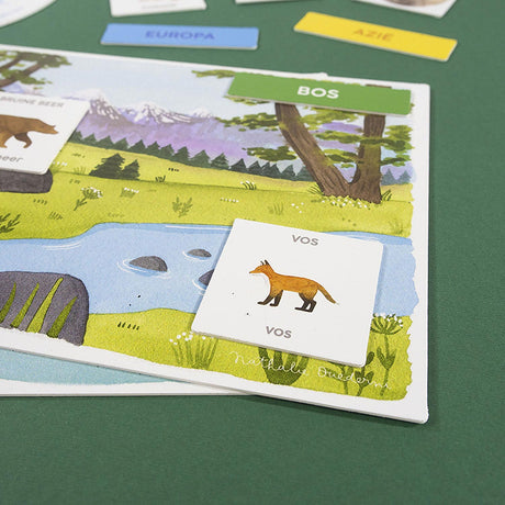 Uczę się gry edukacyjnej Jumbo Discover Animals
